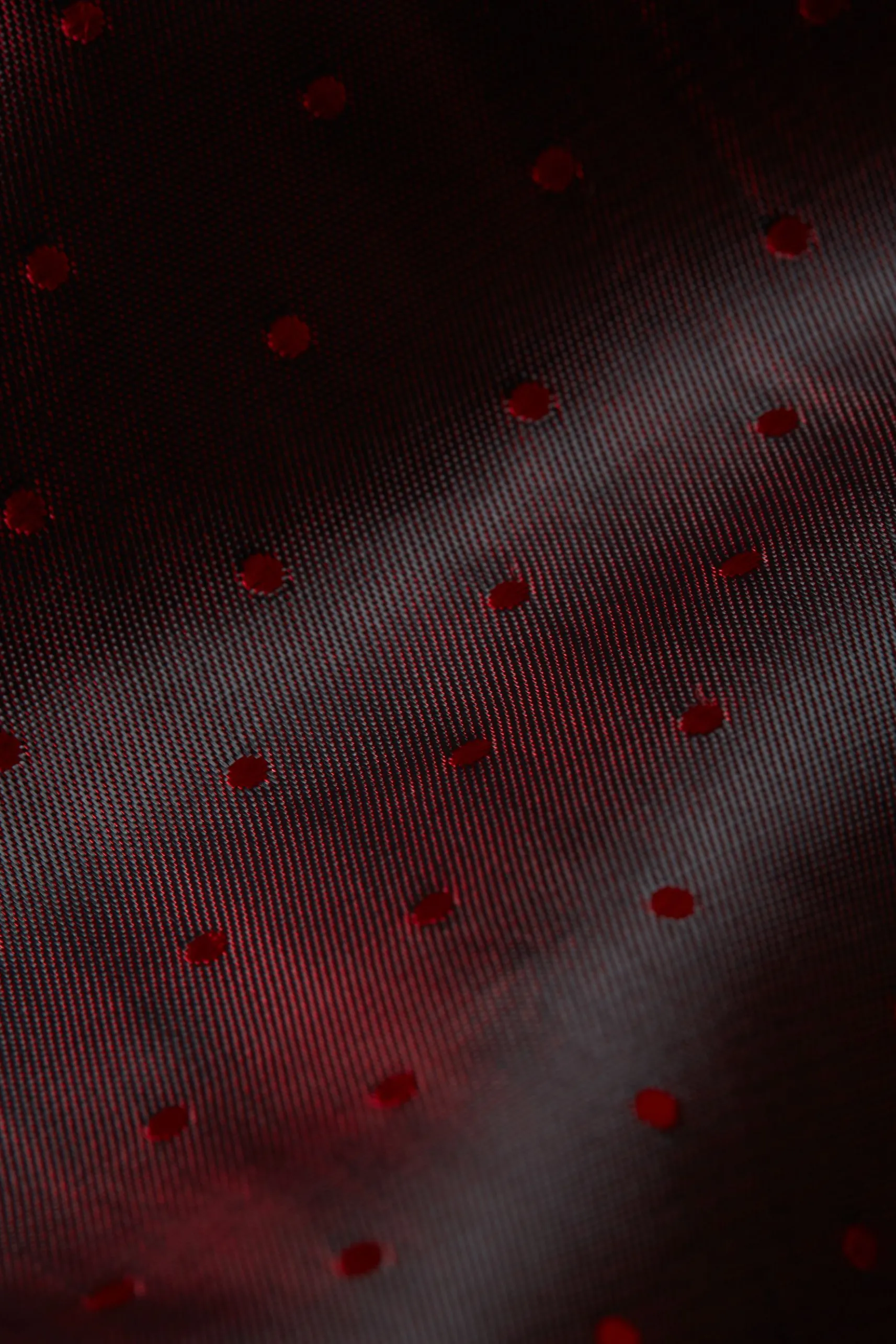 Bianca Blazer Broadway